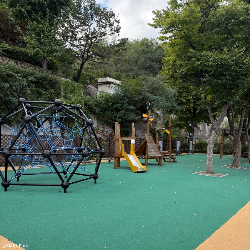 ソウル・青空ジムの豪華版