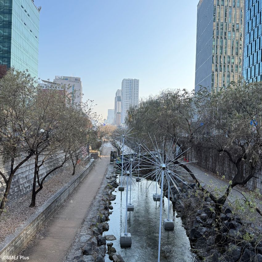 夜を狙いましょう☆