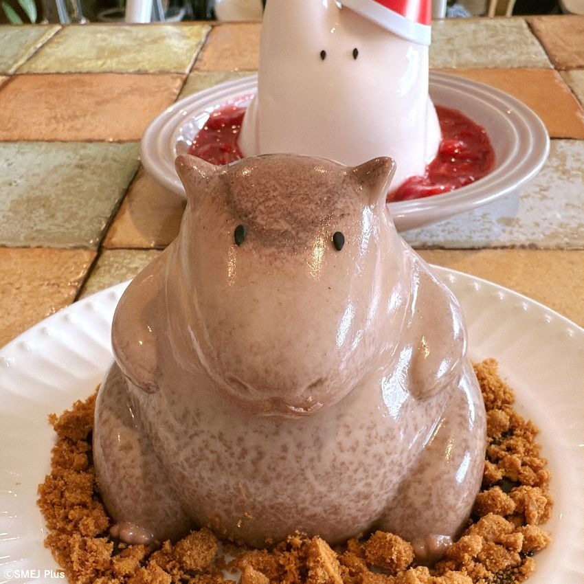 きちんと髪の毛があります！