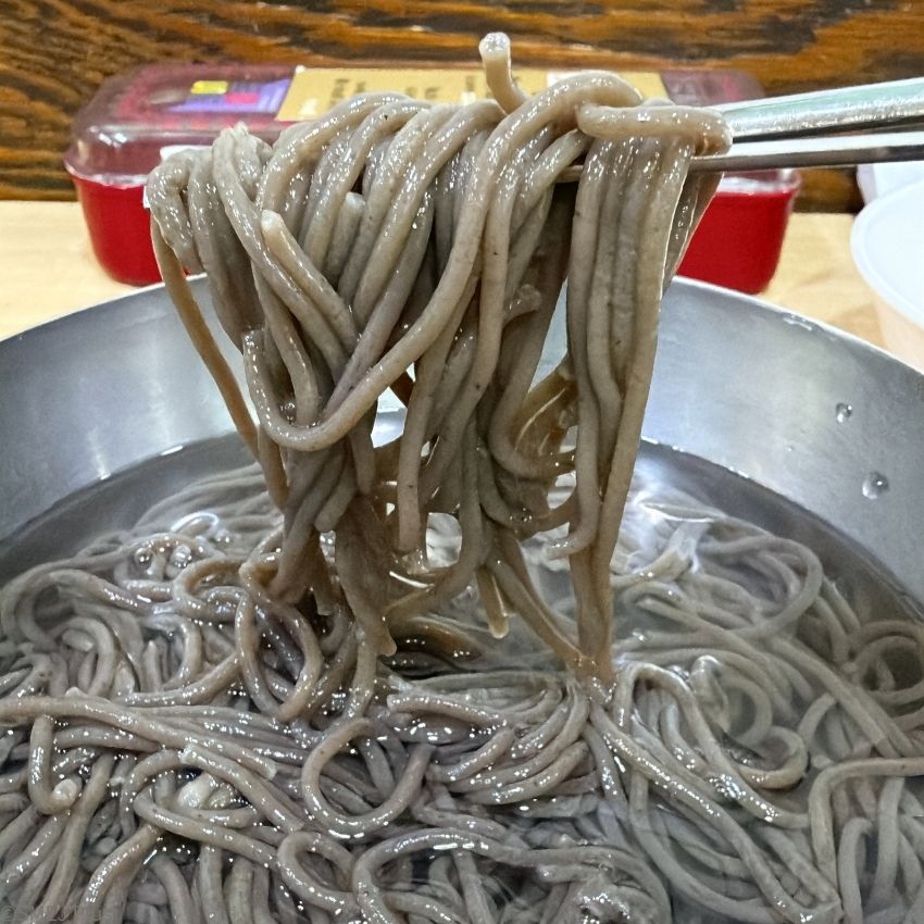 いわゆるかけ蕎麦のイメージ