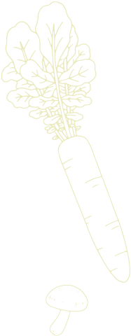 大根のイラスト
