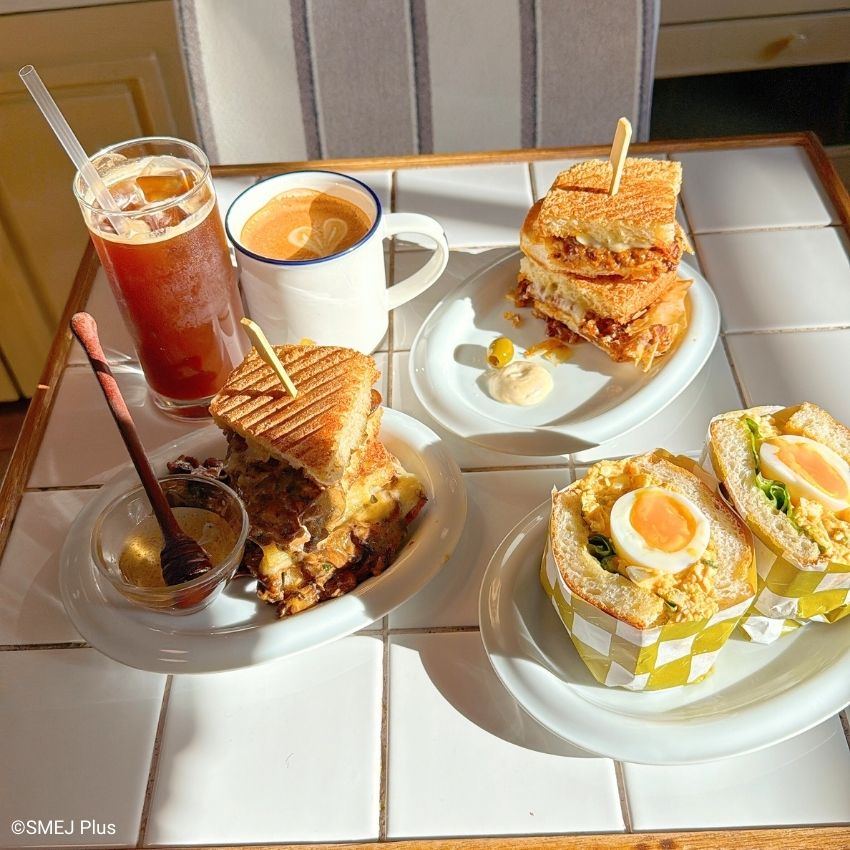 今回のメニュー・全景