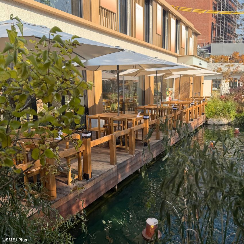 早い時間を狙いましょう