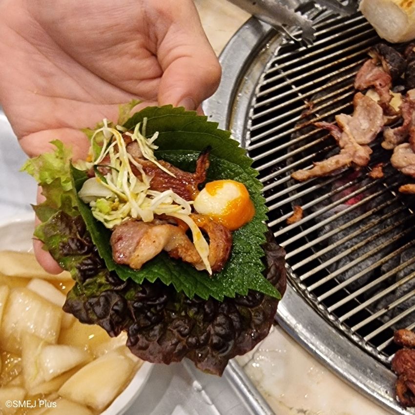 サンチュとエゴマの葉を重ねた上に鴨肉、ニンニク、キャベツを巻いていただきました。栄養満点！