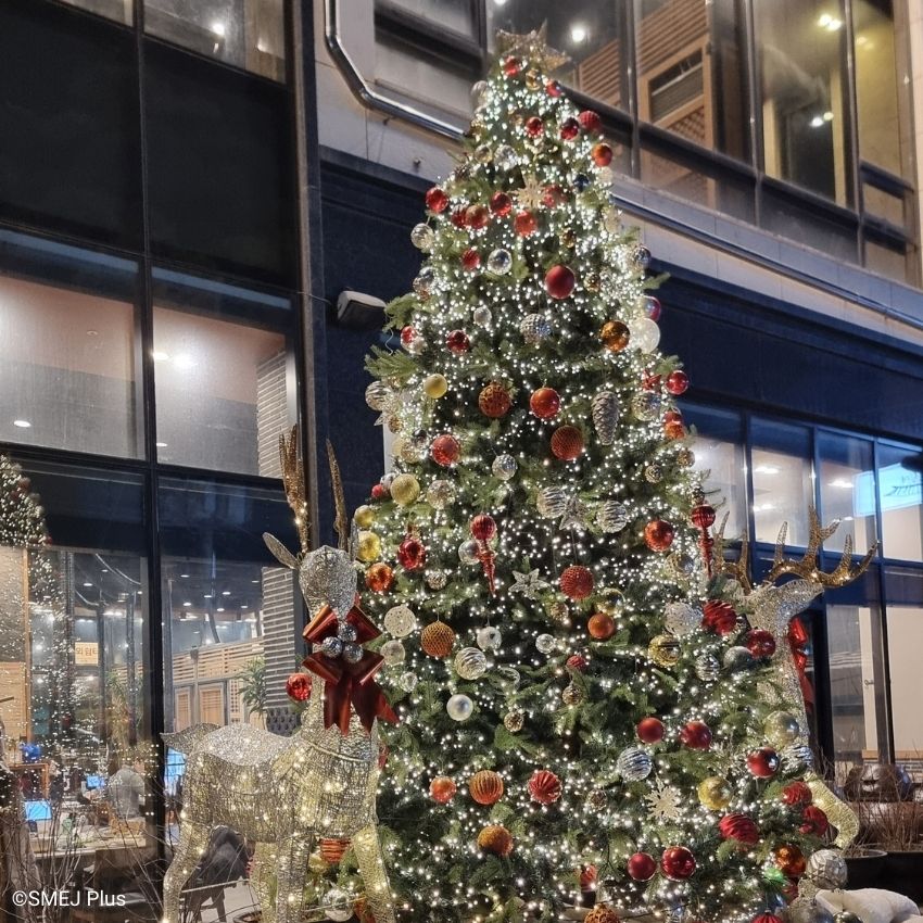 店の前のクリスマスツリー