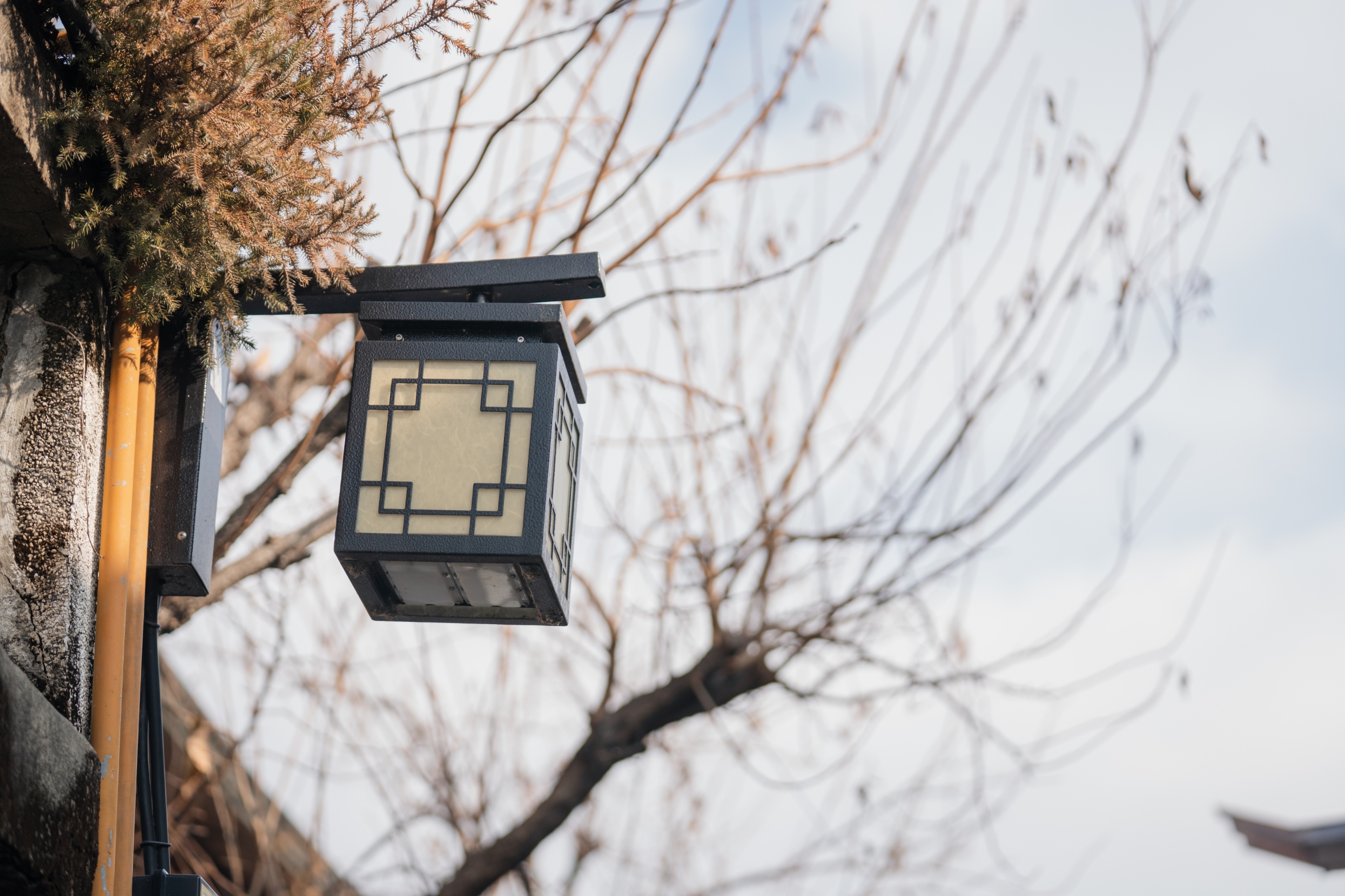 韓国の街灯の写真