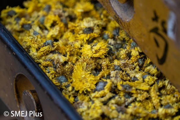 薬膳の材料の写真